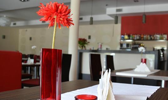 Hotel Cynamon Tokarnia  Εξωτερικό φωτογραφία